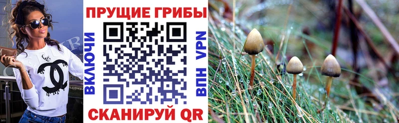 Галлюциногенные грибы MAGIC MUSHROOMS  где найти   OMG ONION  Новая Ляля 