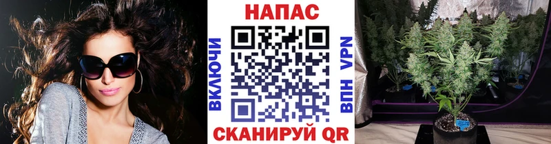 Бошки Шишки Amnesia  купить наркотик  MEGA   Новая Ляля 